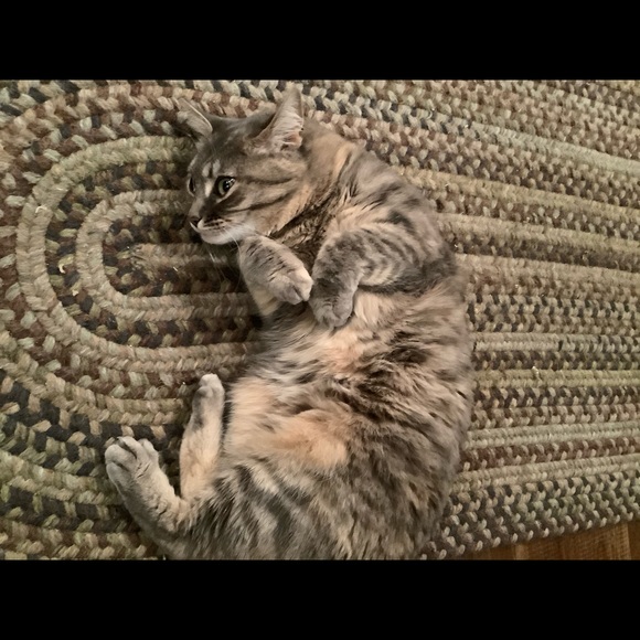 Meet your Posher, Christina - Picture 12 of 16